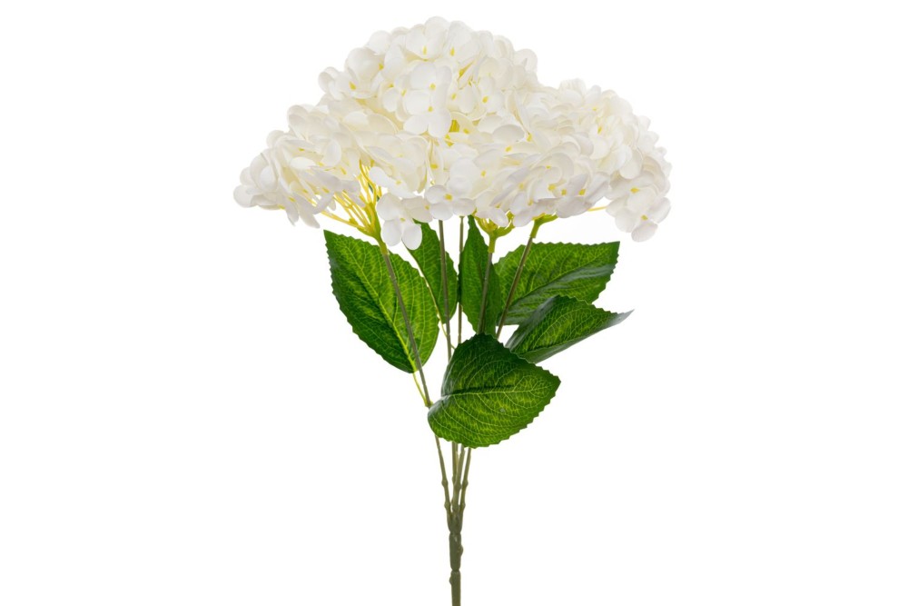 ΜΠΟΥΚΕΤΟ ΟΡΤΑΝΣΙΑ ΛΕΥΚΗ 47ΕΚ Χ5 REAL TOUCH