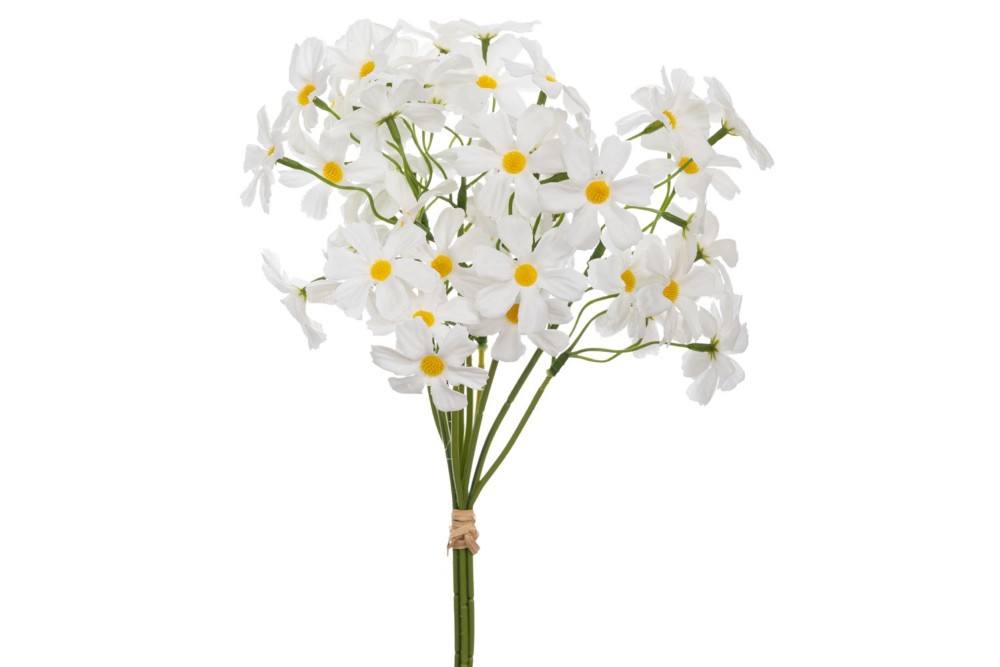 ΡΙΖΑΚΙ 26ΕΚ ΜΑΡΓΑΡΙΤΑ