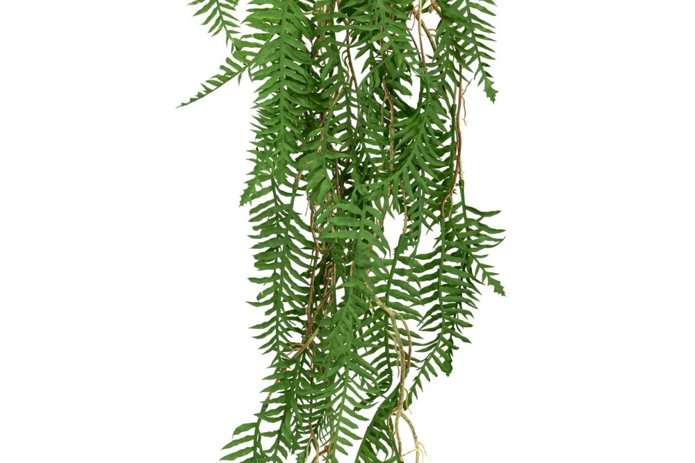 ΓΙΡΛΑΝΤΑ ΦΤΕΡΗ 190ΕΚ ΠΡΑΣΙΝΗ