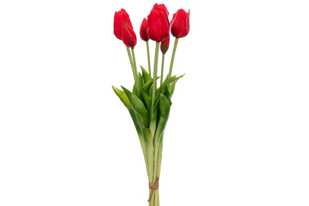 ΤΟΥΛΙΠΑ Χ7 ΚΟΚΚΙΝΟ ΜΠΟΥΚΕΤΟ