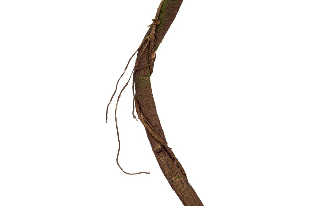 ΚΛΙΜΑΤΣΙΔΑ 180ΕΚ ΚΑΦΕ ΜΕ ΒΡΥΑ