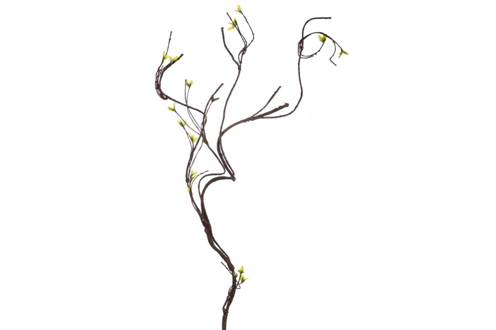 ΚΛΙΜΑΤΣΙΔΑ 131ΕΚ ΜΕ ΠΡΑΣΙΝΑ ΑΝΘΑΚΙΑ