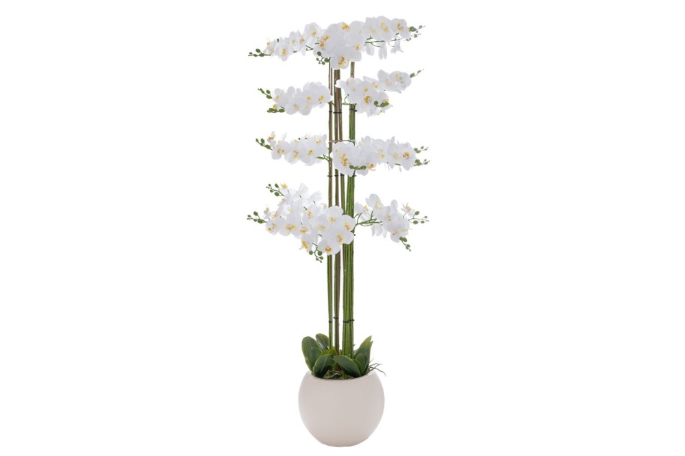 ΛΕΥΚΗ ΟΡΧΙΔΕΑ PHALAENOPSIS ΣΕ ΕΚΡΟΥ ΚΕΡΑΜΙΚΟ ΚΑΣΠΩ 160ΕΚ