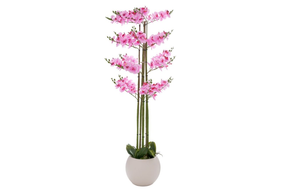 ΡΟΖ ΟΡΧΙΔΕΑ PHALAENOPSIS ΣΕ ΕΚΡΟΥ ΚΕΡΑΜΙΚΟ ΚΑΣΠΩ 160ΕΚ