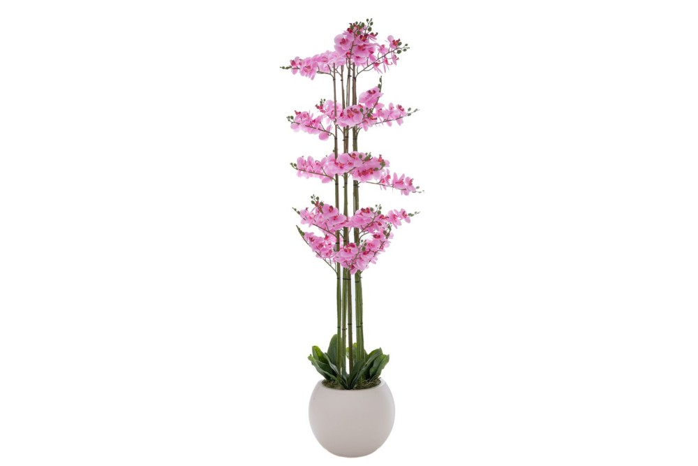 ΡΟΖ ΟΡΧΙΔΕΑ PHALAENOPSIS ΣΕ ΕΚΡΟΥ ΚΕΡΑΜΙΚΟ ΚΑΣΠΩ 190ΕΚ ΡΟΖ ΟΡΧΙΔΕΑ PHALAENOPSIS ΣΕ ΕΚΡΟΥ ΚΕΡΑΜΙΚΟ ΚΑΣΠΩ 190ΕΚ