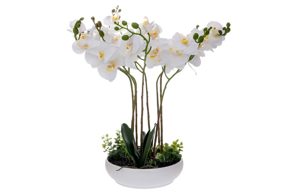 ΛΕΥΚΗ ΟΡΧΙΔΕΑ PHALAENOPSIS ΣΕ ΛΕΥΚΟ ΚΕΡΑΜΙΚΟ ΚΑΣΠΩ 55ΕΚ