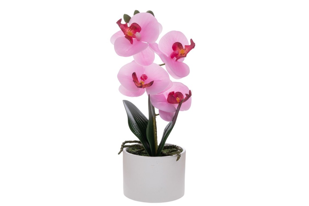 ΡΟΖ ΟΡΧΙΔΕΑ PHALAENOPSIS ΣΕ ΛΕΥΚΟ ΚΕΡΑΜΙΚΟ ΚΑΣΠΩ 28ΕΚ