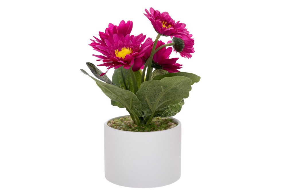 ΦΟΥΞΙΑ ΖΕΡΜΠΕΡΑ ΣΕ ΛΕΥΚΟ ΚΕΡΑΜΙΚΟ ΓΛΑΣΤΡΑΚΙ 20ΕΚ