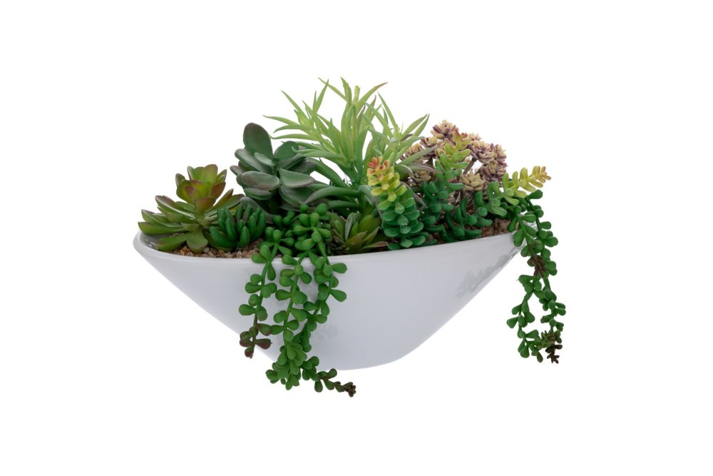 ΠΑΧΥΦΥΤΟ ΣΕ ΑΣΠΡΟ ΚΕΡΑΜΙΚΟ ΓΛΑΣΤΡΑΚΙ 20,5ΕΚ