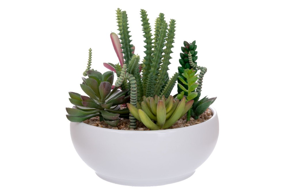 ΠΑΧΥΦΥΤΟ ΣΕ ΑΣΠΡΟ ΣΤΡΟΓΓΥΛΟ ΚΕΡΑΜΙΚΟ ΓΛΑΣΤΡΑΚΙ  17ΕΚ