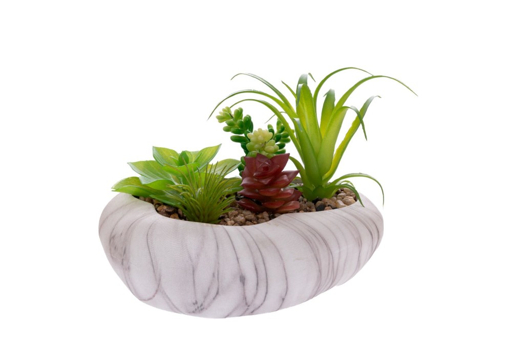 ΠΑΧΥΦΥΤΟ ΣΕ ΑΣΠΡΟ ΚΕΡΑΜΙΚΟ ΓΛΑΣΤΡΑΚΙ 16ΕΚ