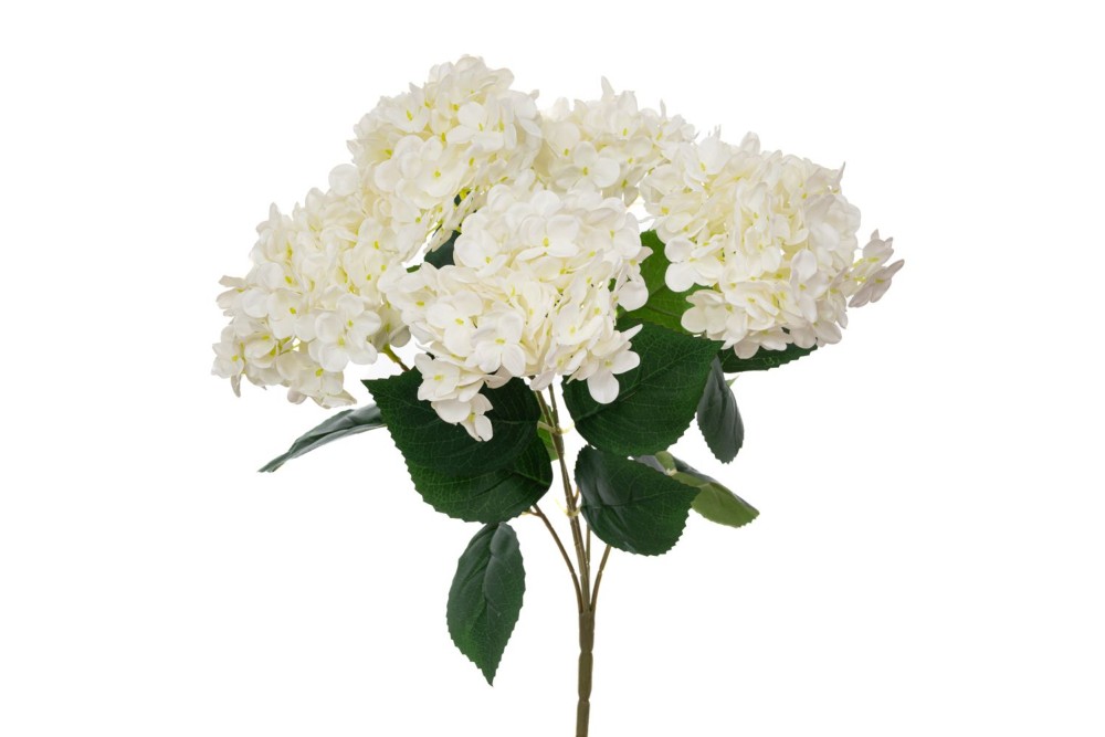 ΜΠΟΥΚΕΤΟ ΚΡΕΜ ΟΡΤΑΝΣΙΑ Χ5 REAL TOUCH 48ΕΚ Φ30ΕΚ