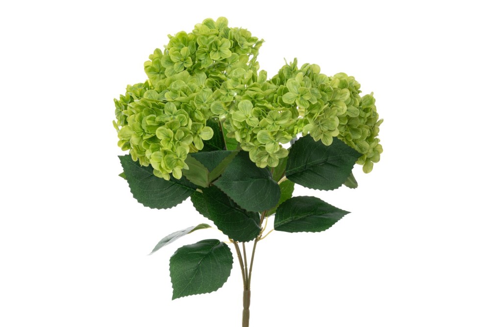 ΜΠΟΥΚΕΤΟ ΟΡΤΑΝΣΙΑ REAL TOUCH ΣΕ ΣΚΟΥΡΟ ΠΡΑΣΙΝΟ Χ5 48ΕΚ Φ30ΕΚ