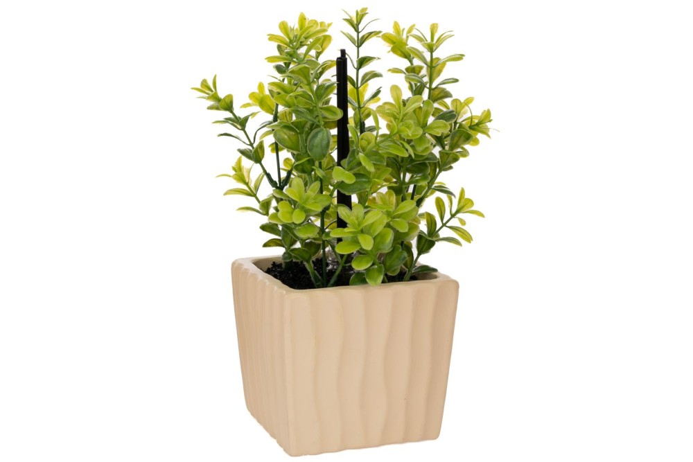 ΠΡΑΣΙΝΑΔΑ ΣΕ ΚΕΡΑΜΙΚΟ ΚΑΣΠΩ ΜΑΖΙ ΜΕ ΑΡΩΜΑΤΙΚΟ (JADE DRAGON TEA FRAGRANCE) 15Χ12Χ27ΕΚ