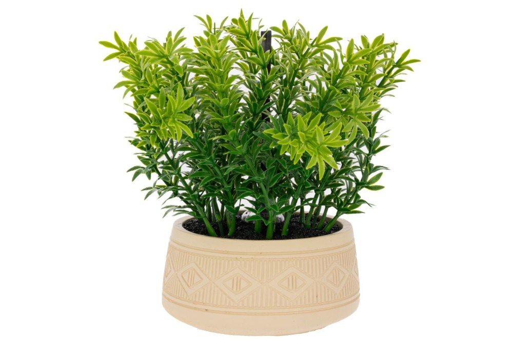 ΠΡΑΣΙΝΑΔΑ ΣΕ ΚΕΡΑΜΙΚΟ ΚΑΣΠΩ ΜΑΖΙ ΜΕ ΑΡΩΜΑΤΙΚΟ (TIBETOK EVENING FRAGRANCE JADE) 18Χ15Χ21,5ΕΚ