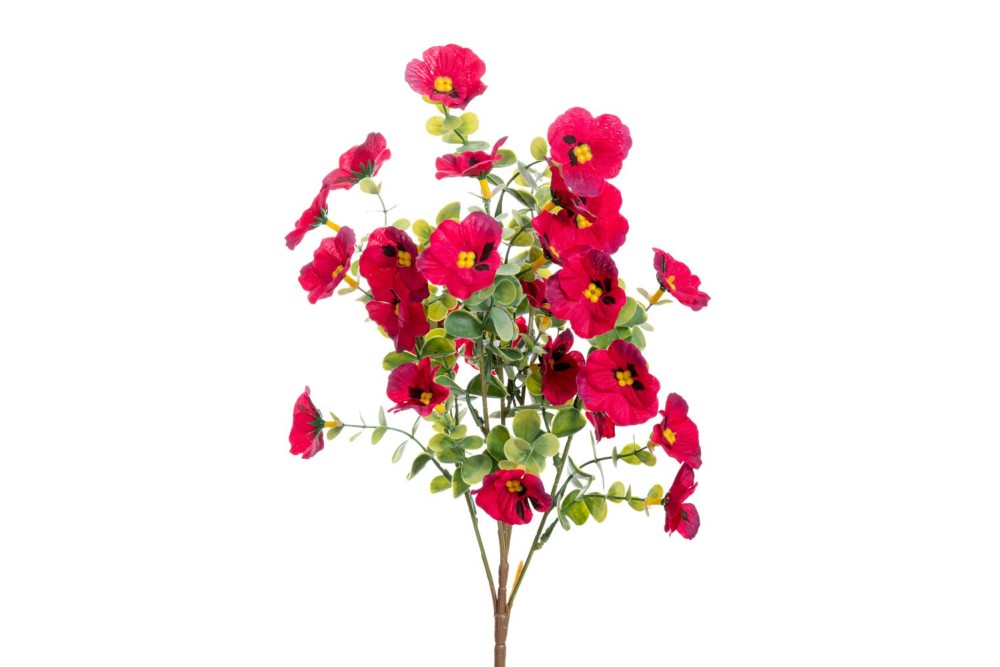 ΜΠΟΥΚΕΤΟ 40ΕΚ ΠΑΝΣΕΣ ΜΠΟΡΝΤΟ Χ5