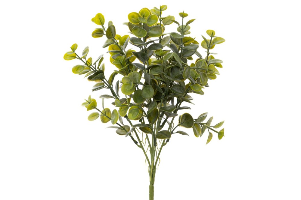 ΡΙΖΑ ΕΥΚΑΛΥΠΤΟΣ 40ΕΚ ΠΡΑΣΙΝΗ