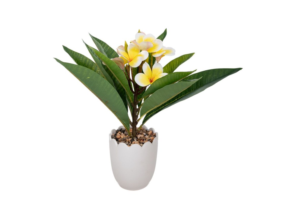 ΛΕΜΟΝΙΑ 10Χ12Χ40ΕΚ ΣΕ ΚΕΡΑΜΙΚΟ ΚΑΣΠΩ