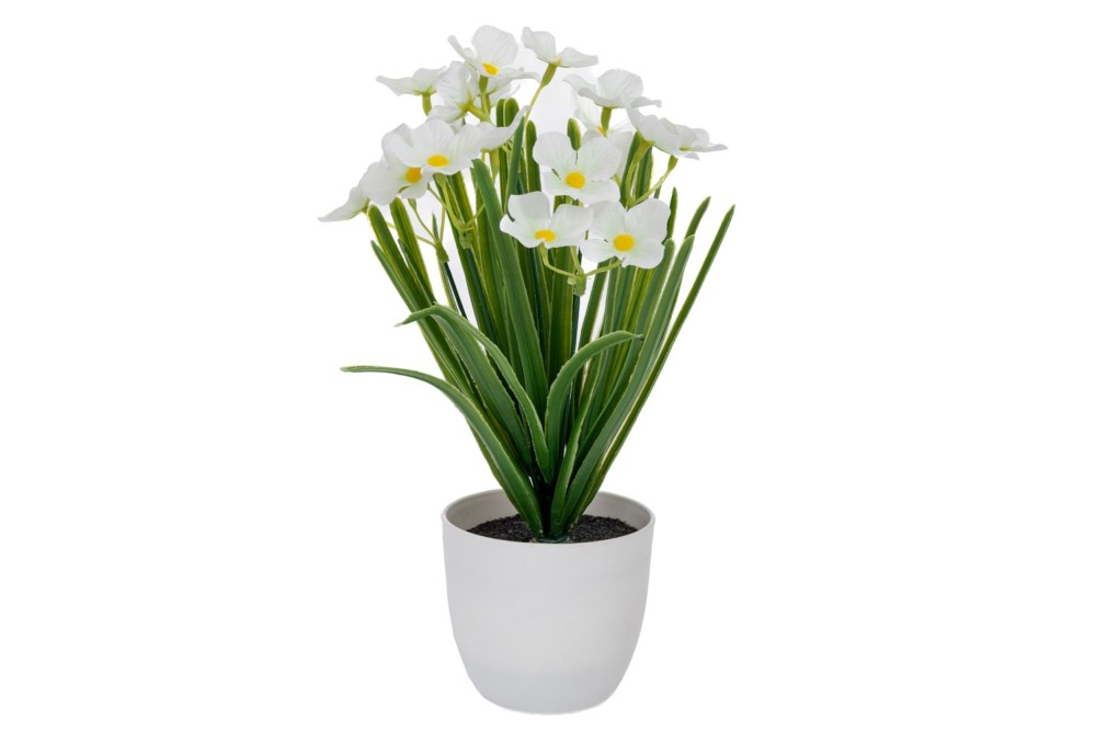 ΑΣΠΡΑ ΛΟΥΛΟΥΔΙΑ ΣΕ ΠΛΑΣΤΙΚΟ ΚΑΣΠΩ 10Χ9Χ30ΕΚ