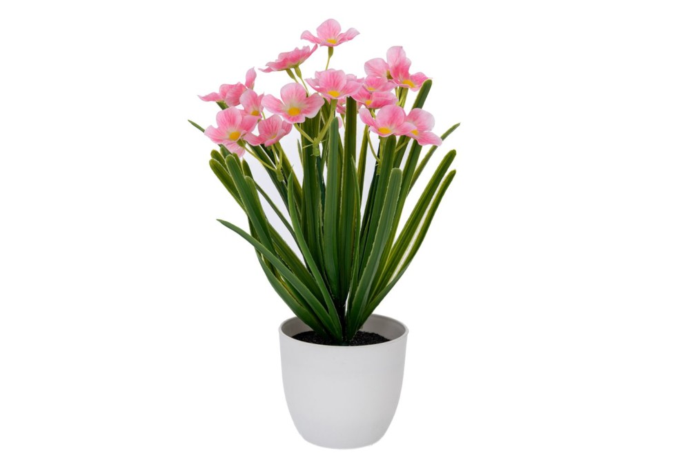 ΡΟΖ ΛΟΥΛΟΥΔΙΑ ΣΕ ΠΛΑΣΤΙΚΟ ΚΑΣΠΩ 10Χ9Χ30ΕΚ