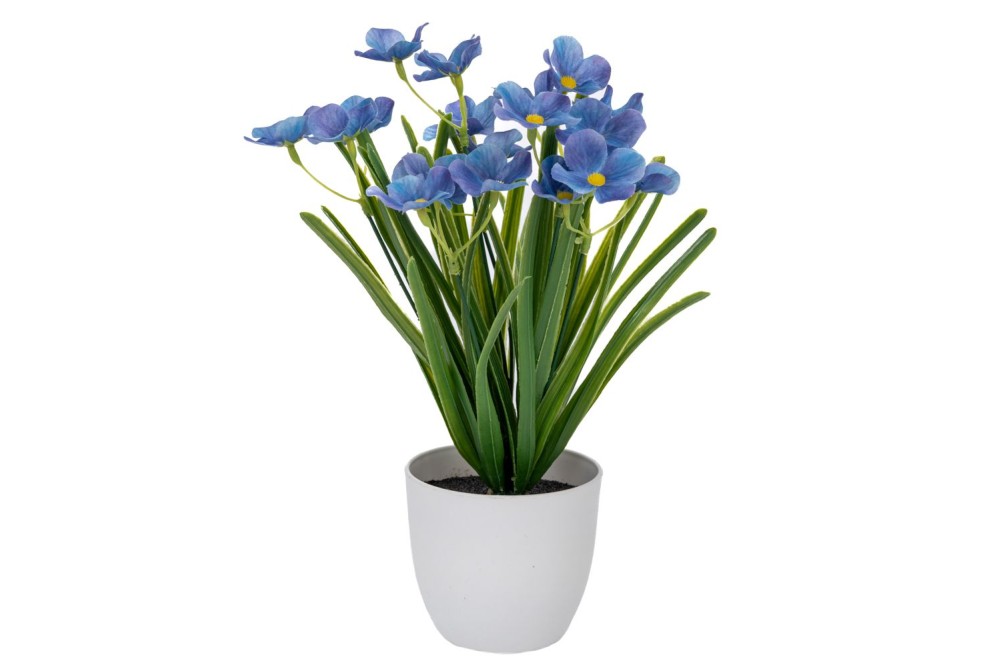 ΜΩΒ ΛΟΥΛΟΥΔΙΑ ΣΕ ΠΛΑΣΤΙΚΟ ΚΑΣΠΩ 10Χ9Χ30ΕΚ