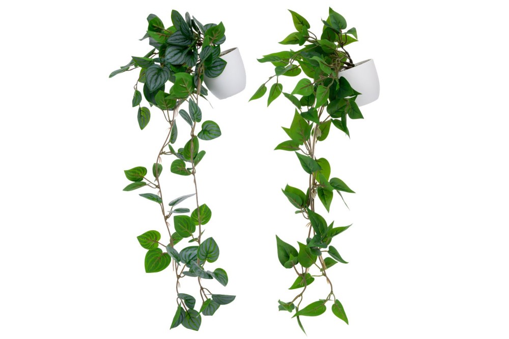 ΠΡΑΣΙΝΑΔΑ ΣΕ ΠΛΑΣΤΙΚΟ ΚΑΣΠΩ ΣΕ 2 ΣΧΕΔΙΑ 20Χ42  8Χ8ΕΚ