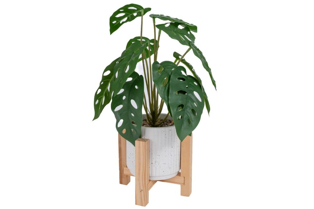 ΦΥΤΟ ΣΕ ΚΑΣΠΩ ΜΕ ΞΥΛΙΝΗ ΒΑΣΗ 32Υ  ΔΙΑ14Χ14Χ11ΕΚ