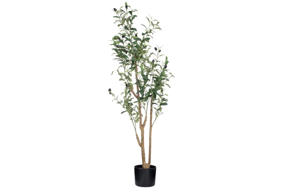 ΔΕΝΤΡΟ ΕΛΙΑΣ ΣΕ ΠΛΑΣΤΙΚΟ ΚΑΣΠΩ 120ΕΚ ΔΙΑ15Χ14ΕΚ