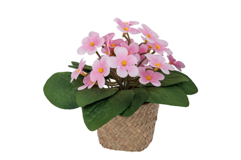 ΜΑΡΓΑΡΙΤΕΣ ΡΟΖ 17ΕΚ ΣΕ SEAGRASS ΚΑΣΠΩ Φ9Χ7