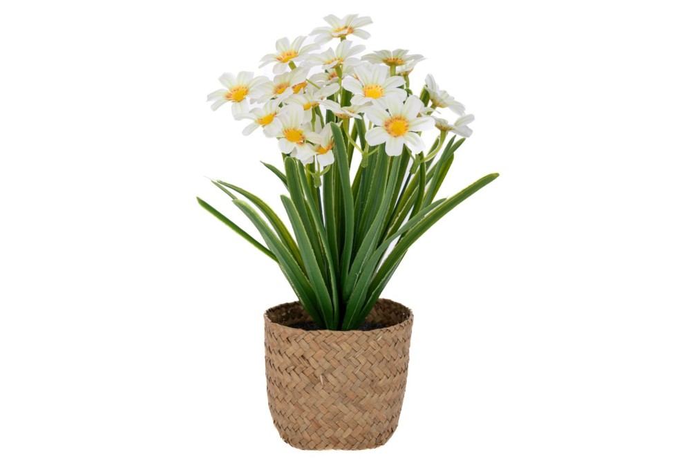 ΚΙΤΡΙΝΕΣ ΜΑΡΓΑΡΙΤΕΣ 30ΕΚ ΣΕ SEAGRASS ΚΑΣΠΩ Φ9Χ9ΕΚ