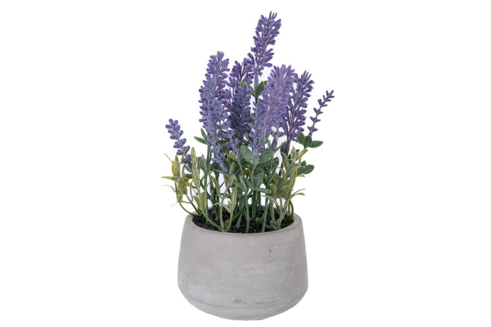 ΛΕΒΑΝΤΑ 24ΕΚ ΣΕ ΤΣΙΜΕΝΤΕΝΙΟ ΚΑΣΠΩ Φ10Χ8ΕΚ ΛΕΒΑΝΤΑ 24ΕΚ ΣΕ ΤΣΙΜΕΝΤΕΝΙΟ ΚΑΣΠΩ Φ10Χ8ΕΚ