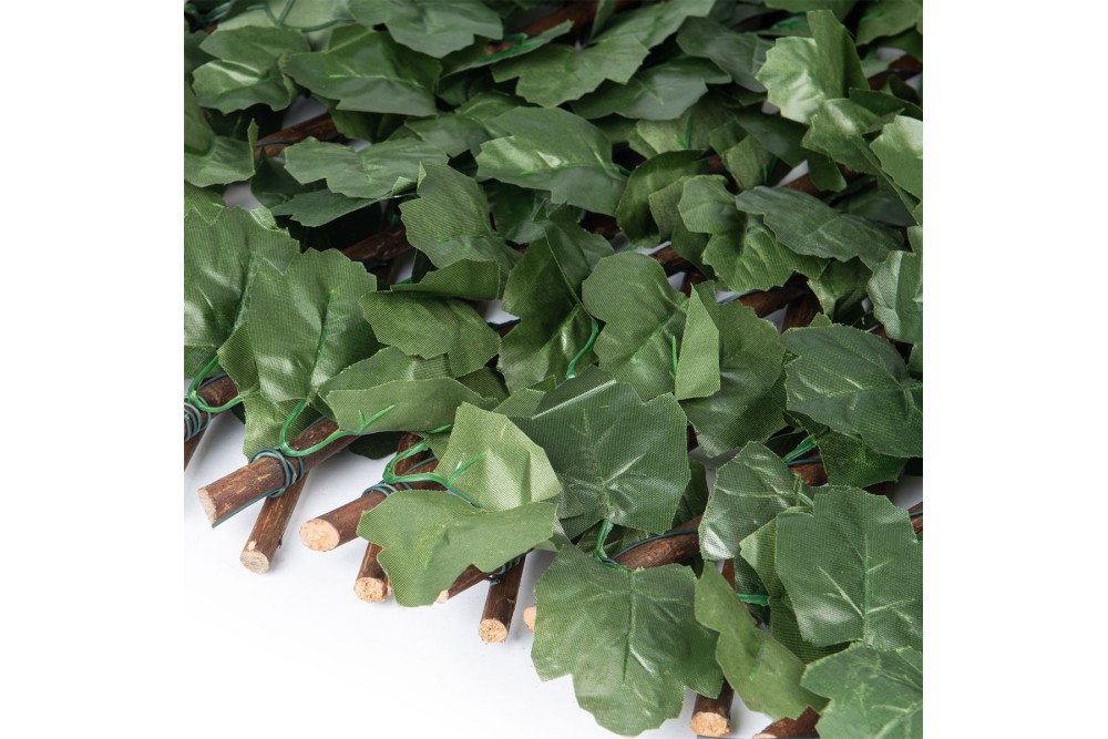 Αναρριχώμενος κισσός με πέργκολα 1x2m.