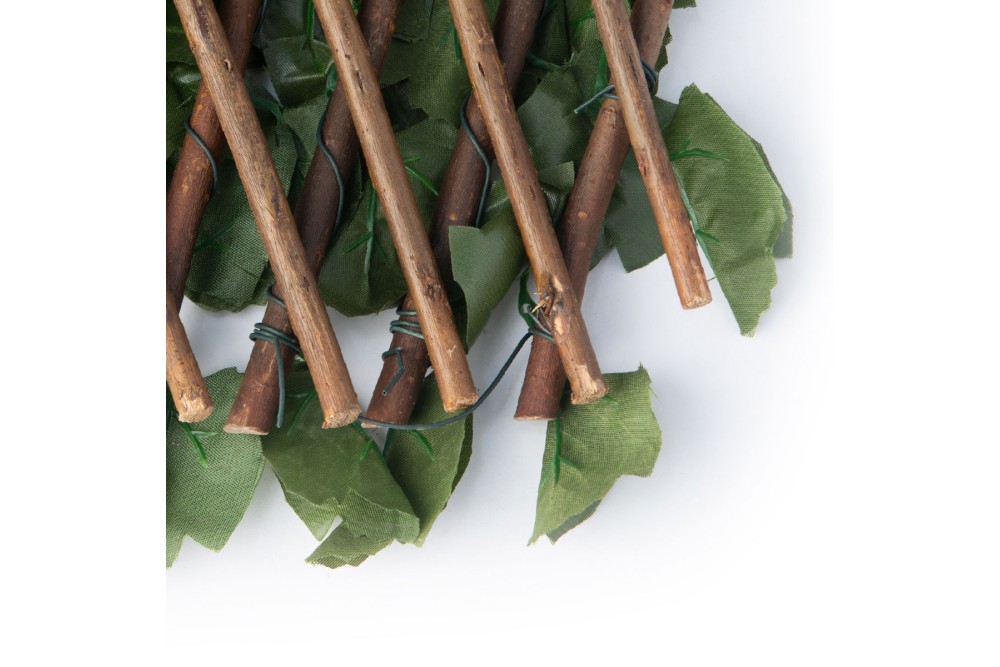 Αναρριχώμενος κισσός με πέργκολα 1x2m.