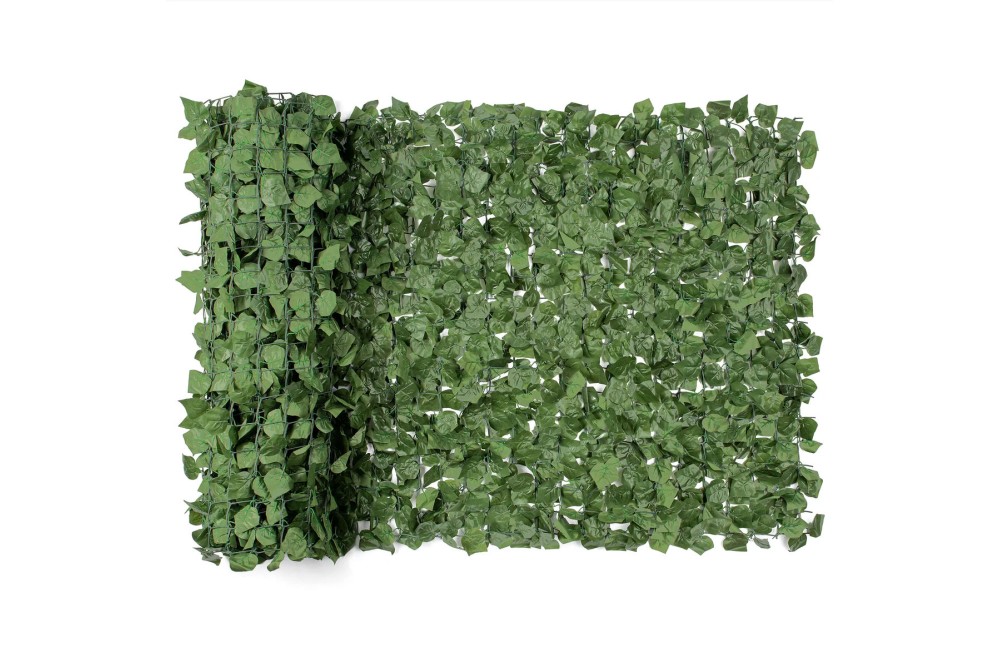 Αναρριχώμενος κισσός με σχάρα 1,5m x 3m