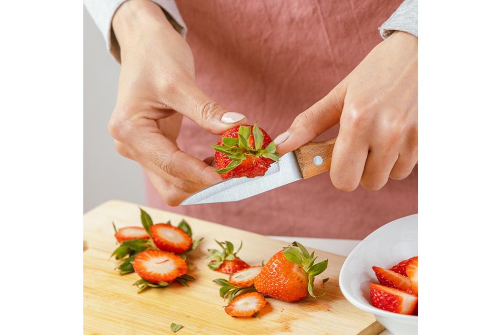 Aνοξείδωτο ατσάλινο μαχαίρι ξεφλουδίσματος "Terrestrial" σετ 2τεμ. 18.5cm Aνοξείδωτο ατσάλινο μαχαίρι ξεφλουδίσματος "Terrestrial" σετ 2τεμ. 18.5cm