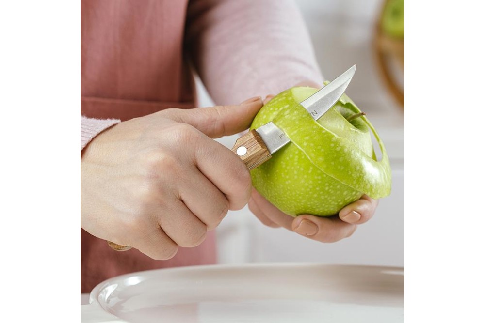 Aνοξείδωτο ατσάλινο μαχαίρι ξεφλουδίσματος "Terrestrial" σετ 2τεμ. 17cm Aνοξείδωτο ατσάλινο μαχαίρι ξεφλουδίσματος "Terrestrial" σετ 2τεμ. 17cm