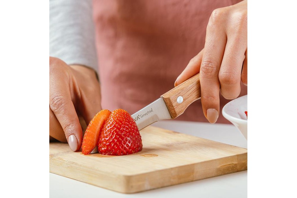 Aνοξείδωτο ατσάλινο μαχαίρι ξεφλουδίσματος "Terrestrial" σετ 2τεμ. 18.5cm Aνοξείδωτο ατσάλινο μαχαίρι ξεφλουδίσματος "Terrestrial" σετ 2τεμ. 18.5cm