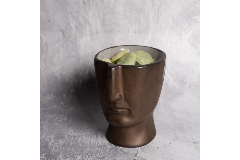 Αρωματιστής Scentchips Visage Bronze Αρωματιστής Scentchips Visage Bronze