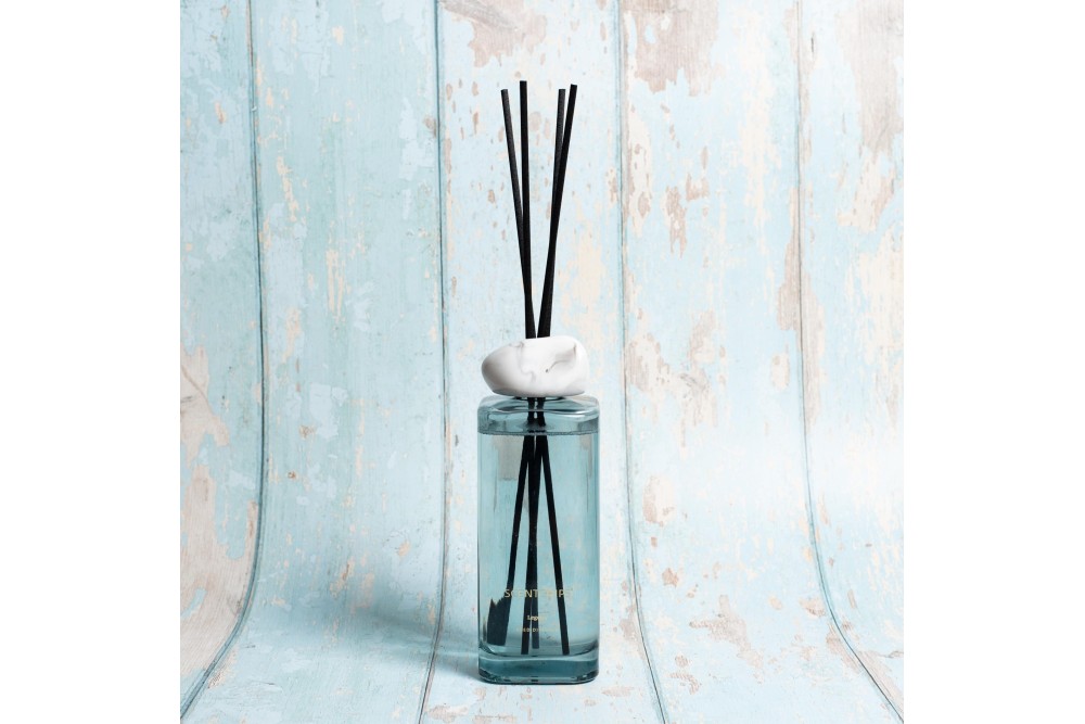 Αρωματικά χώρου με στικς Bliss Legend Grey 500ml